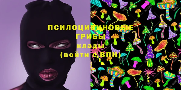 сатива Алексеевка