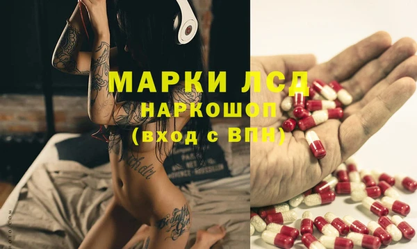 сатива Алексеевка