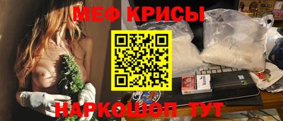 СК Кингисепп