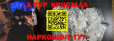 СК Кингисепп