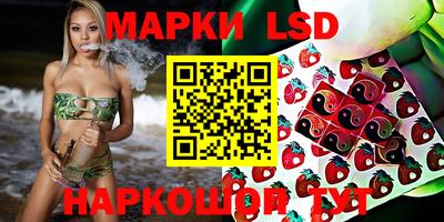 СК Кингисепп