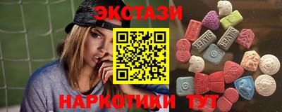 СК Кингисепп