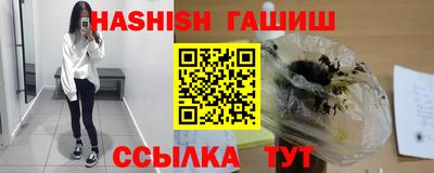 СК Кингисепп