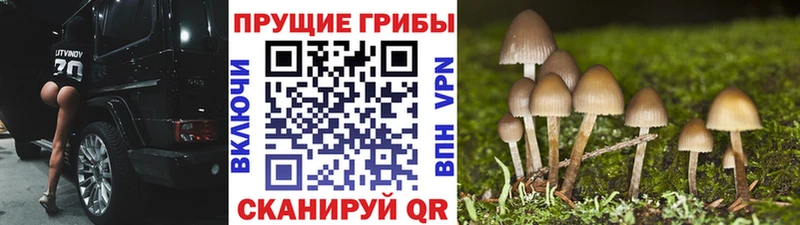 Псилоцибиновые грибы MAGIC MUSHROOMS  Солнечногорск 