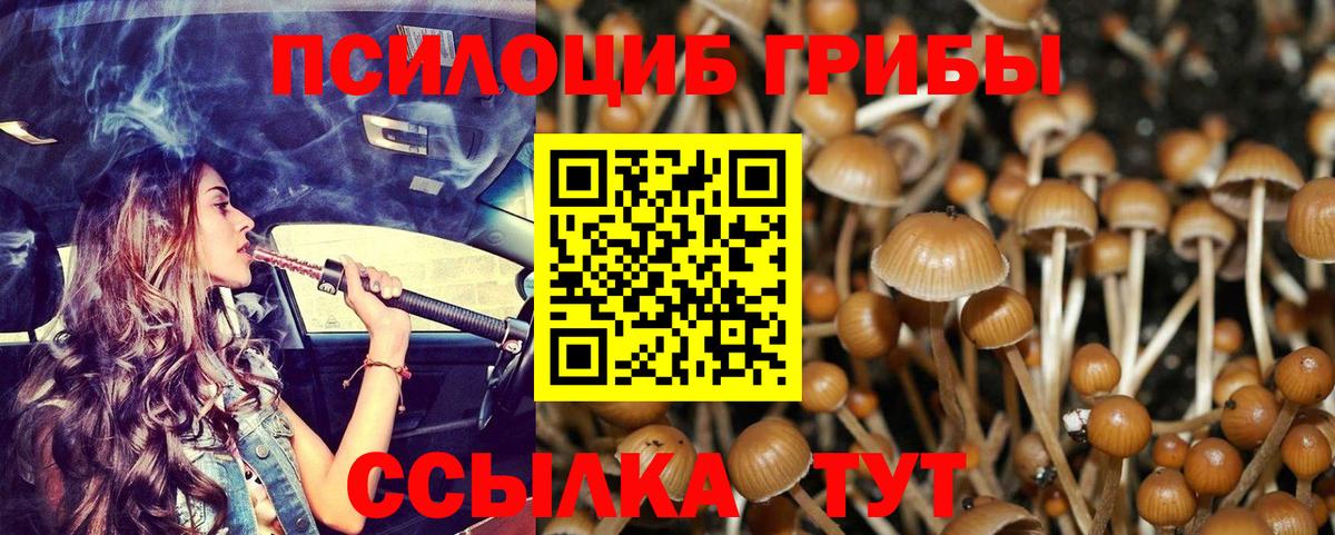 Галлюциногенные грибы прущие грибы  где продают наркотики  Псилоцибиновые грибы мухоморы  Солнечногорск  Вход с VPN 